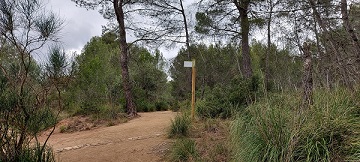 El Ayuntamiento de Gavà promueve el descubrimiento de los paisajes de Gavà a pie o en bici